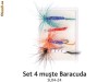 Set 4 muste Baracuda SL04-24