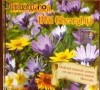 MAI BADITA, MAI GHEORGHITA  (CD) SIGILAT!!!