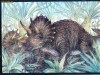k2807   Animale preistorice-Carti postale
