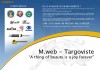 Web design Targoviste