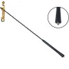 vand antena auto nissan