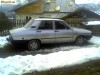 dacia 1310
