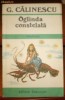 G.Calinescu / Oglinda constelata