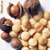 Ulei de macadamia ORGANIC, presat la rece Ulei de macadamia ORGANIC, presat la rece