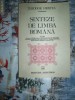 Sinteze de limba romana-THEODOR HRISTEA