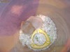 Hamsteri