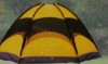 CORT CAMPING  2,4M * 2,4M * h 1,7 M