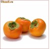 vand planta de kaki