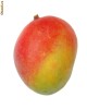 pui de planta Mango