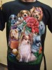 TRICOURI (TRICOU) diverse imprimeuri: CATEI