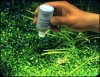 Ferilizant cu micronutrienti pentru plante de acvariu