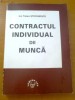 CONTRACTUL INDIVIDUAL DE MUNCA - ION TRAIAN STEFANESCU