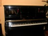 pianina franta