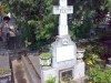 CAVOU DAMAROAIA, SECT.1