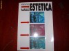 introducere in estetica