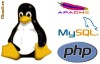 Cum sa creezi un site web cu HTML, CSS, PHP si baza de date MySQL - Tutorial