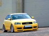 Vand prelungire bara fata Audi A3 8P 2003 -