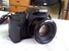 Canon 450d + 50mm f1.8 II