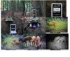 camera supraveghere cu ir