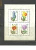 Ungaria 1963 - FLORI DE GRADINA, bloc nestampilat