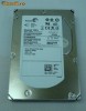 300GB Hard Disk SAS 15K.5 SEAGATE Cheetah 6GB