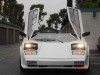 Lambourghini Countach lp5000s replica