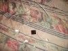 apple ipod nano 8gb apple ipod nano 8gb