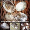SCRUMIERA FASHION SCOICA VERITABILA SIDEF cu PERLE ARTIFICIALE MULTIPLE INTREBUINTARI SUPORT POTPURIU BIBELOU DECORATIUNI INTERIOARE