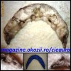 GULER MARE BLANA NATURALA VULPE POLARA ALBASTRA DAMA FEMEI SUPERB