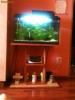 Acvariu 60L complet pesti,plante,accesorii,etc + masuta!