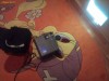 Videoproiector Acer XD1150