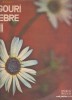 TANGOURI CELEBRE~ II ~VINIL