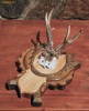 trofeu de caprior cu panoplie sculptata