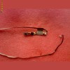 Webcam Packard Bell SJ81 71-90373-01 Webcam Packard Bell SJ81 71-90373-01