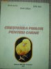 cresterea puilor pentru carne