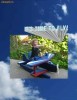 Bilete avion Berlin (Intre 25% si 60% REDUCERE) Oferta de Vara