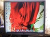 MONITOARE  LCD