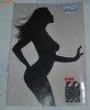 FHM  100 cele mai sexy femei din lume  2008
