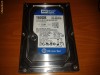 Vand Hard-Disk Western Digital 1600AAJB 160 GB