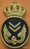 pafta militara regalista