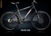 Mountain  Bike  CUBE  Analog  Disc  2010   cadru 22