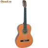 Chitara de concert C20