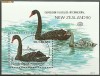 Nicaragua - pasari 1990, colita stampilat