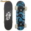skateboard No Fear pt. copii