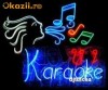 Vand DVD Karaoke - 300 piese romanesti (format avi si mpeg)