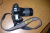 Nikon N80