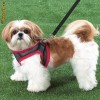 Ham pentru catelus, catelasi, caine, caini, catei, ciini talie mica Comfy Control Harness