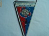 Fanion fotbal FC BIHOR Oradea
