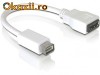 Delock Adapter cable DVI mini Mac M 65087