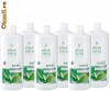 Set de 6 Aloe Vera Sivera
